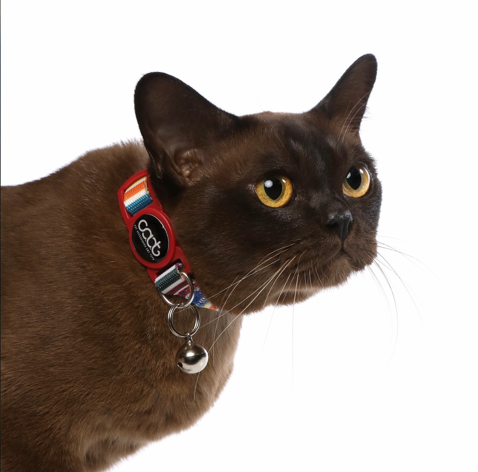 DOOG CAAT Quick-Release Cat Collar