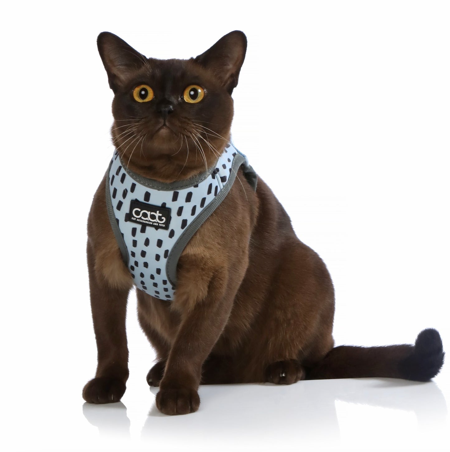 DOOG CAAT Cat Harness & Leash Combo