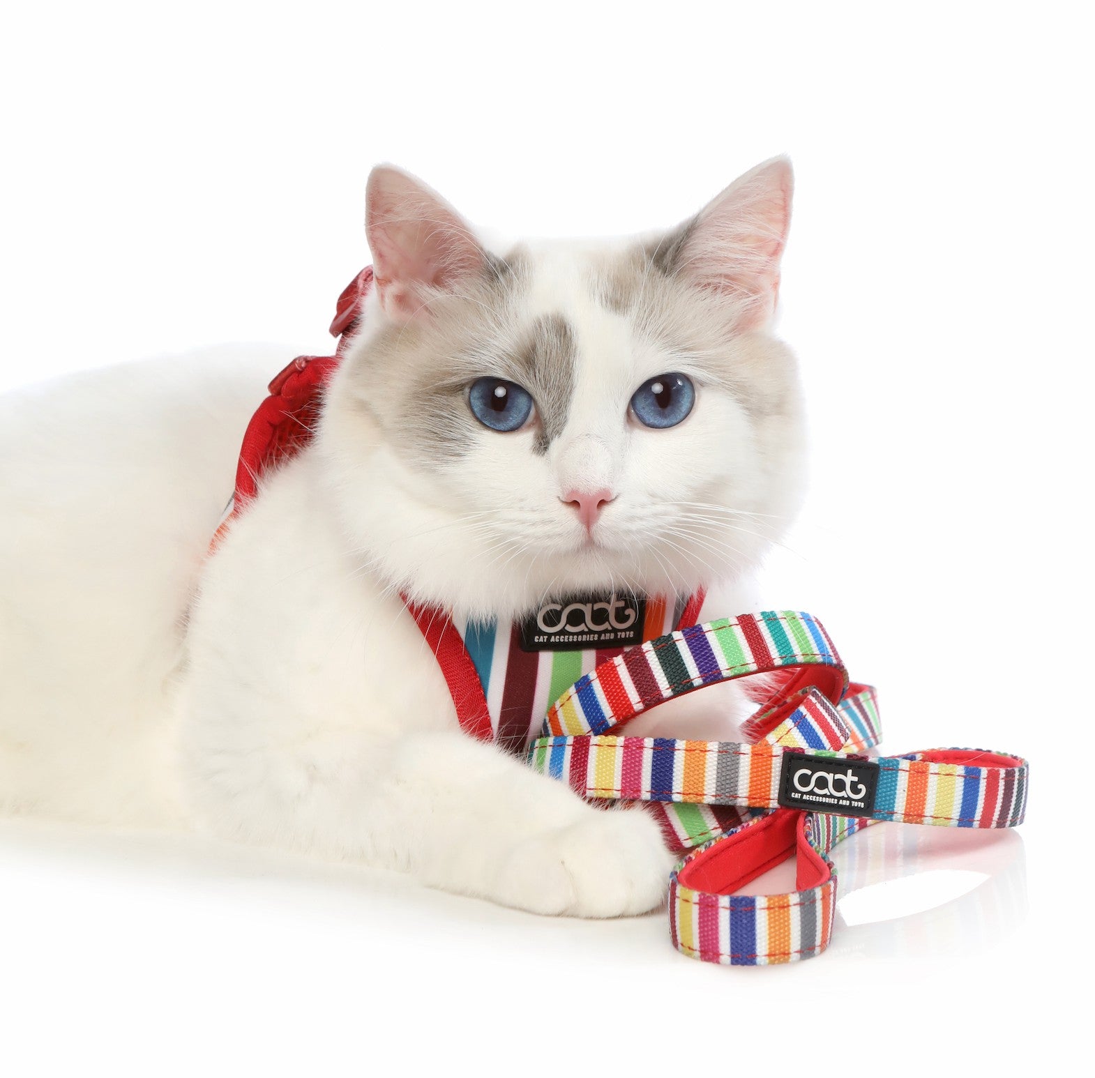 DOOG CAAT Cat Harness & Leash Combo