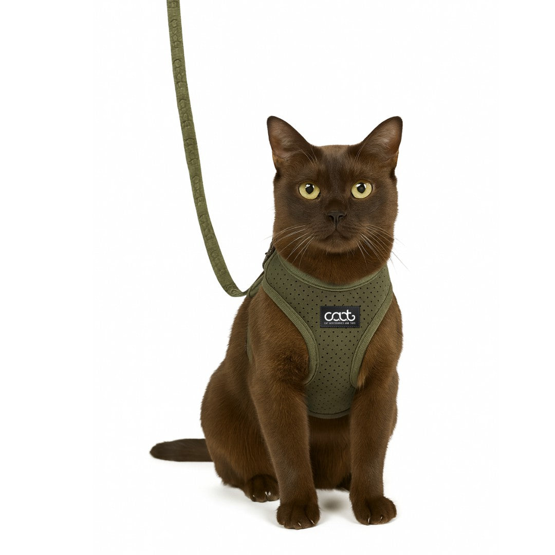 DOOG CAAT Cat Harness & Leash Combo