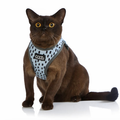 DOOG CAAT Cat Harness & Leash Combo