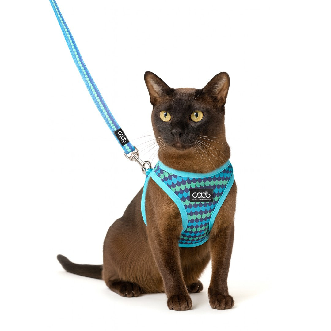 DOOG CAAT Cat Harness & Leash Combo